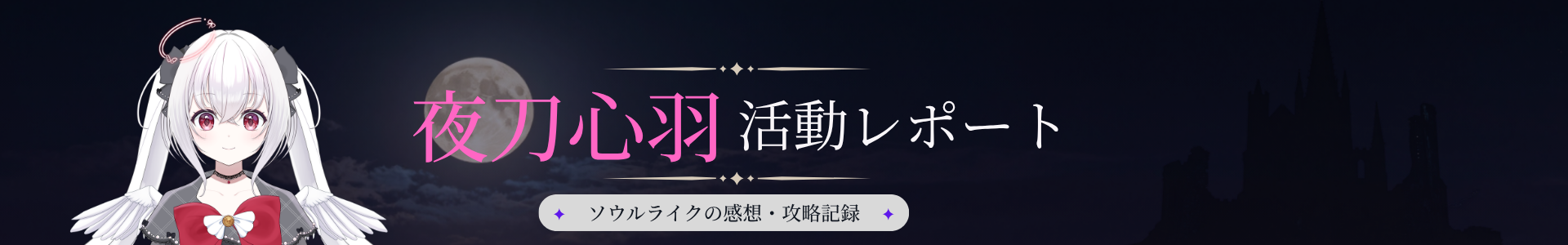夜刀心羽活動レポート